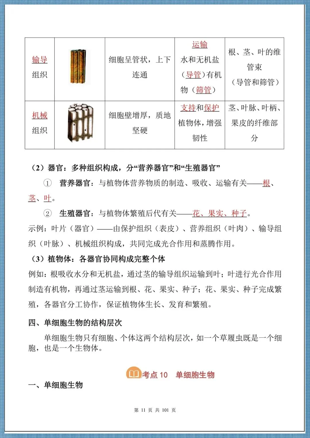 生地会考|2026中考生物必背核心考点汇总(背诵掌握),电子版可打印!-第11张图片-四季读书网 生地会考|2026中考生物必背核心考点汇总(背诵掌握),电子版可打印!-第11张图片-四季读书网