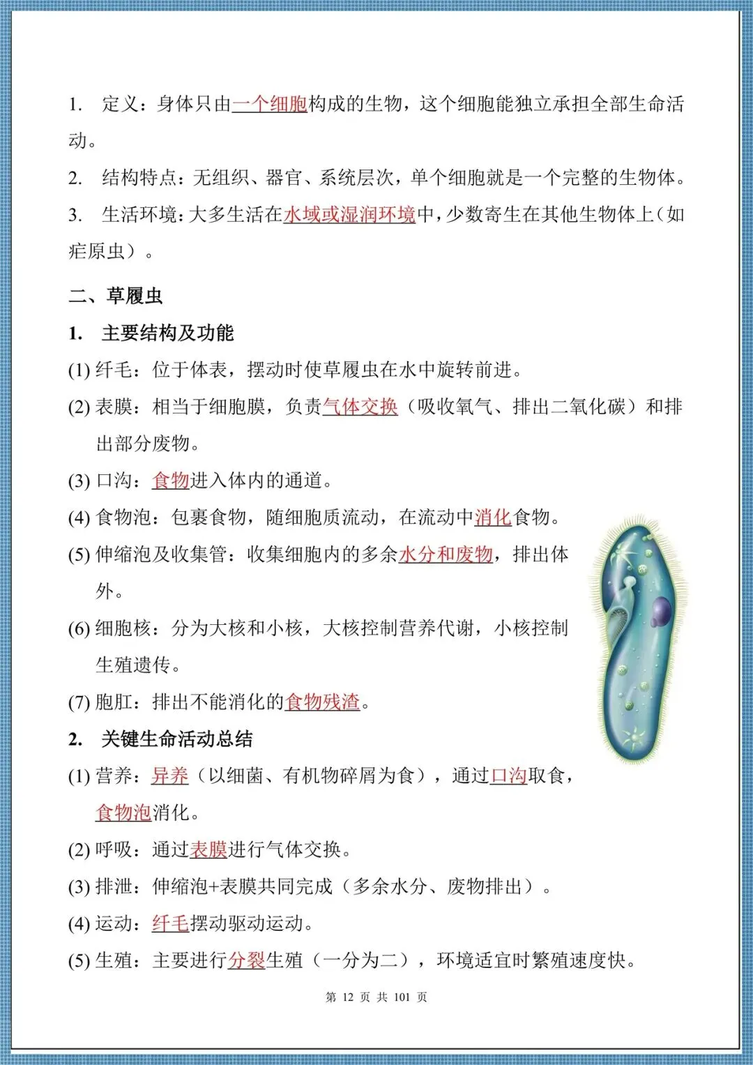 生地会考|2026中考生物必背核心考点汇总(背诵掌握),电子版可打印!-第12张图片-四季读书网 生地会考|2026中考生物必背核心考点汇总(背诵掌握),电子版可打印!-第12张图片-四季读书网