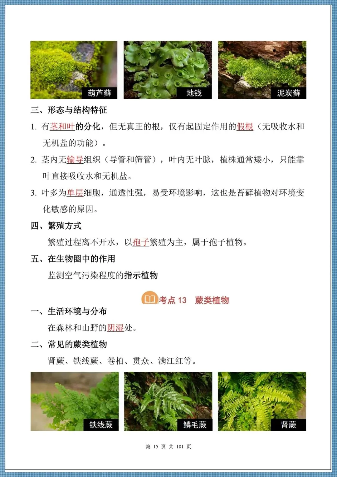 生地会考|2026中考生物必背核心考点汇总(背诵掌握),电子版可打印!-第15张图片-四季读书网 生地会考|2026中考生物必背核心考点汇总(背诵掌握),电子版可打印!-第15张图片-四季读书网