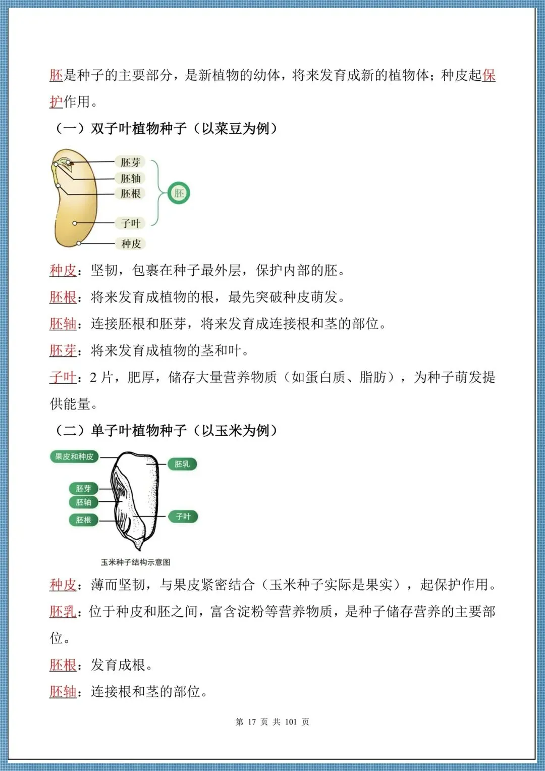 生地会考|2026中考生物必背核心考点汇总(背诵掌握),电子版可打印!-第17张图片-四季读书网 生地会考|2026中考生物必背核心考点汇总(背诵掌握),电子版可打印!-第17张图片-四季读书网