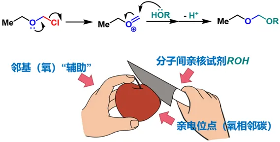 【易错真题】反应活性:常用试剂MOMCl-第1张图片-四季读书网