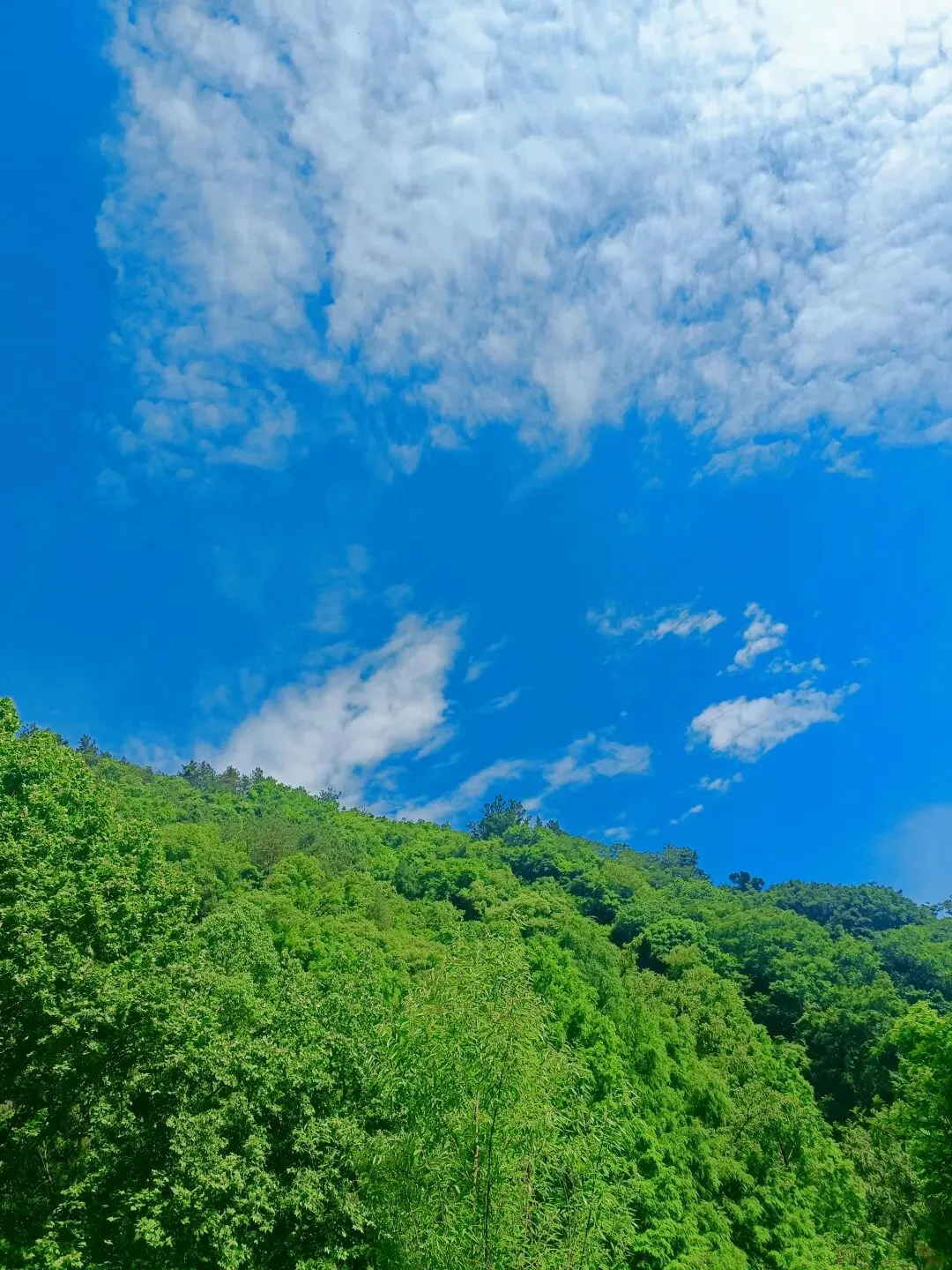 都要中考了还带娃出去玩?真正的备考,从不是闭门苦读-第1张图片-四季读书网