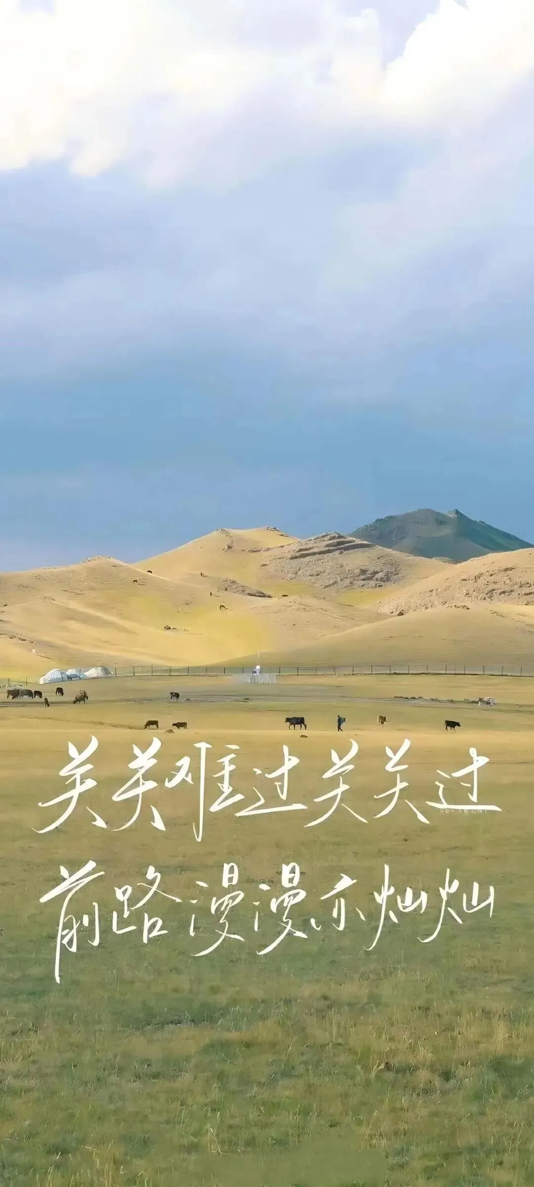 壁纸|中考考试上岸励志壁纸-第1张图片-四季读书网 壁纸|中考考试上岸励志壁纸-第1张图片-四季读书网
