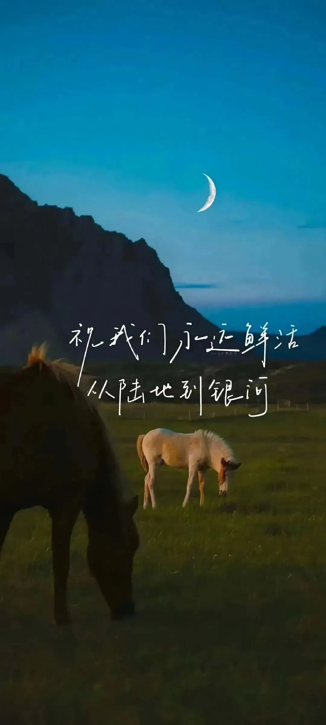 壁纸|中考考试上岸励志壁纸-第3张图片-四季读书网 壁纸|中考考试上岸励志壁纸-第3张图片-四季读书网