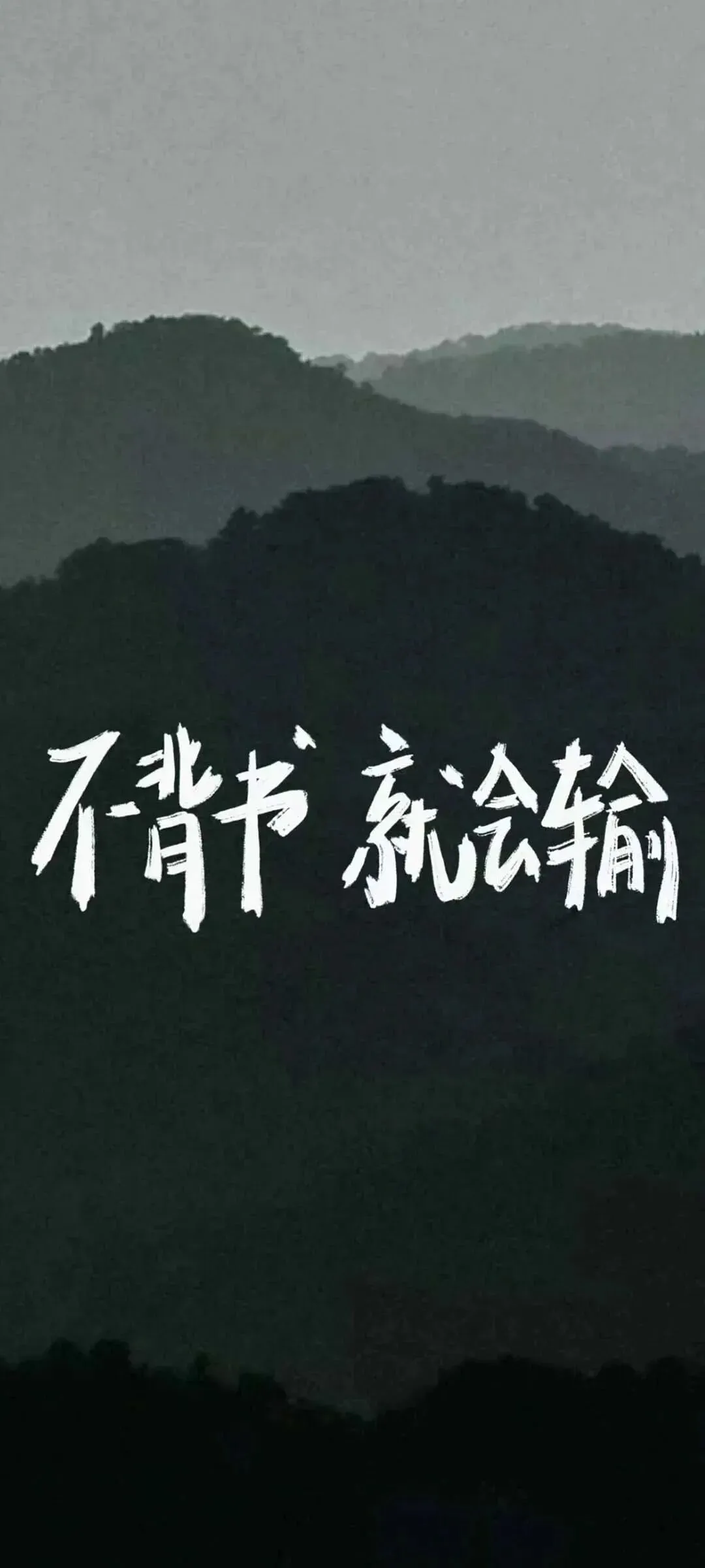 壁纸|中考考试上岸励志壁纸-第5张图片-四季读书网 壁纸|中考考试上岸励志壁纸-第5张图片-四季读书网