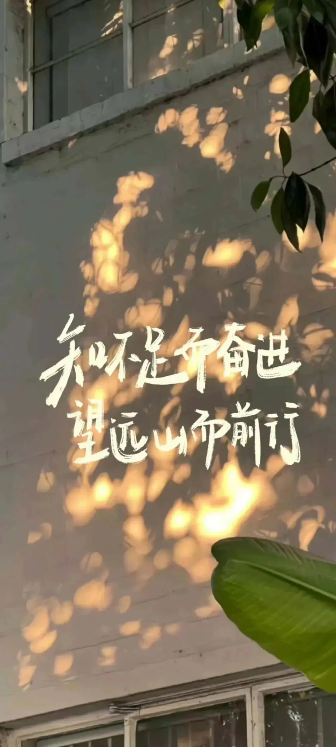 壁纸|中考考试上岸励志壁纸-第6张图片-四季读书网 壁纸|中考考试上岸励志壁纸-第6张图片-四季读书网