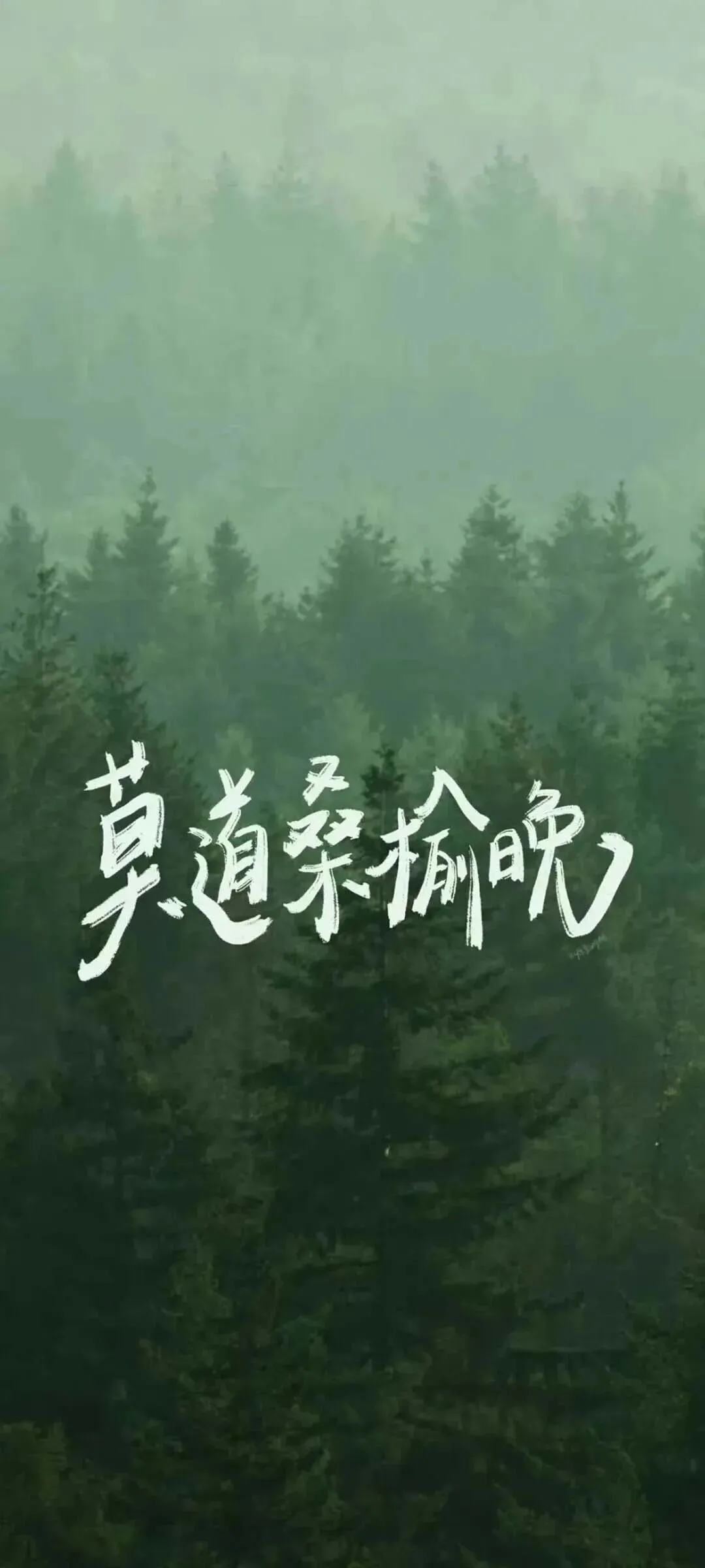 壁纸|中考考试上岸励志壁纸-第7张图片-四季读书网 壁纸|中考考试上岸励志壁纸-第7张图片-四季读书网