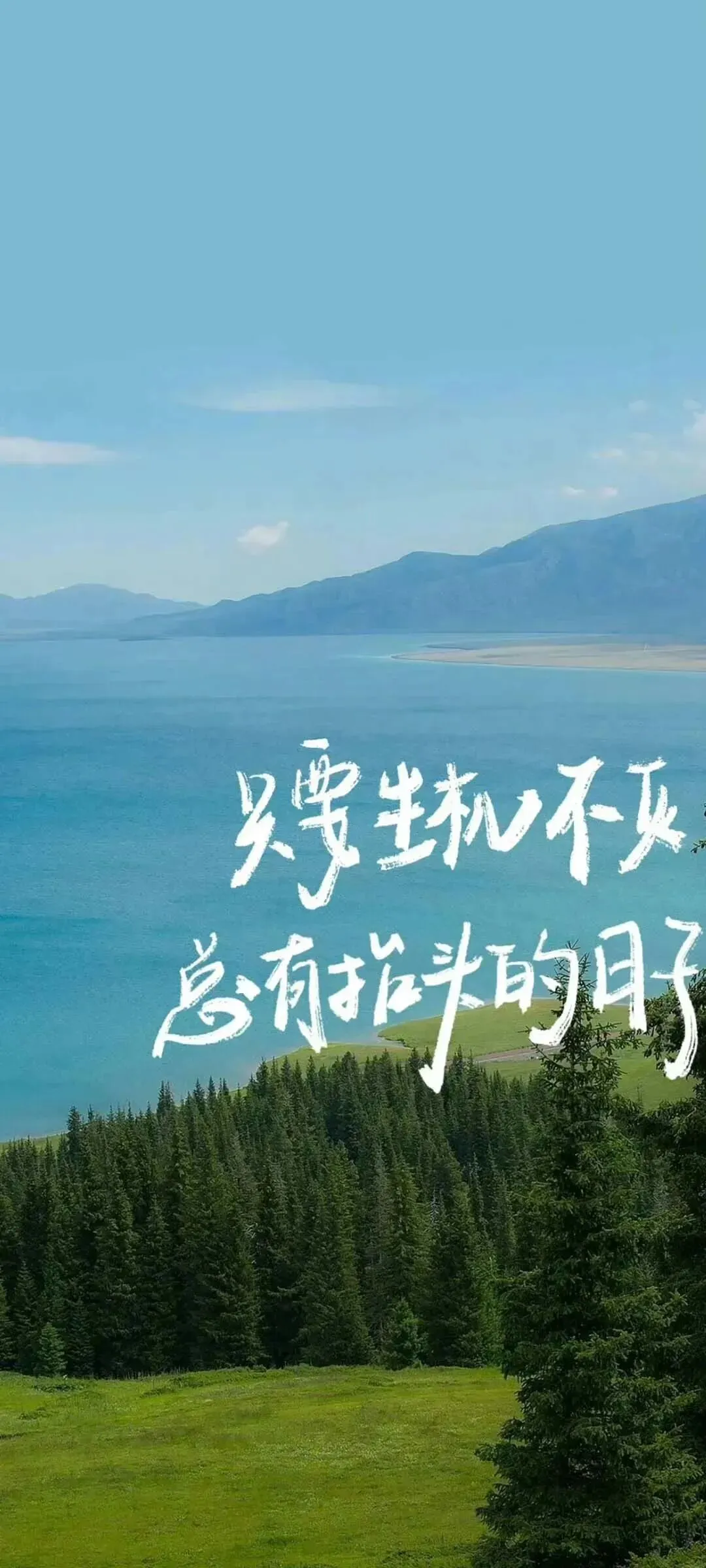 壁纸|中考考试上岸励志壁纸-第8张图片-四季读书网 壁纸|中考考试上岸励志壁纸-第8张图片-四季读书网
