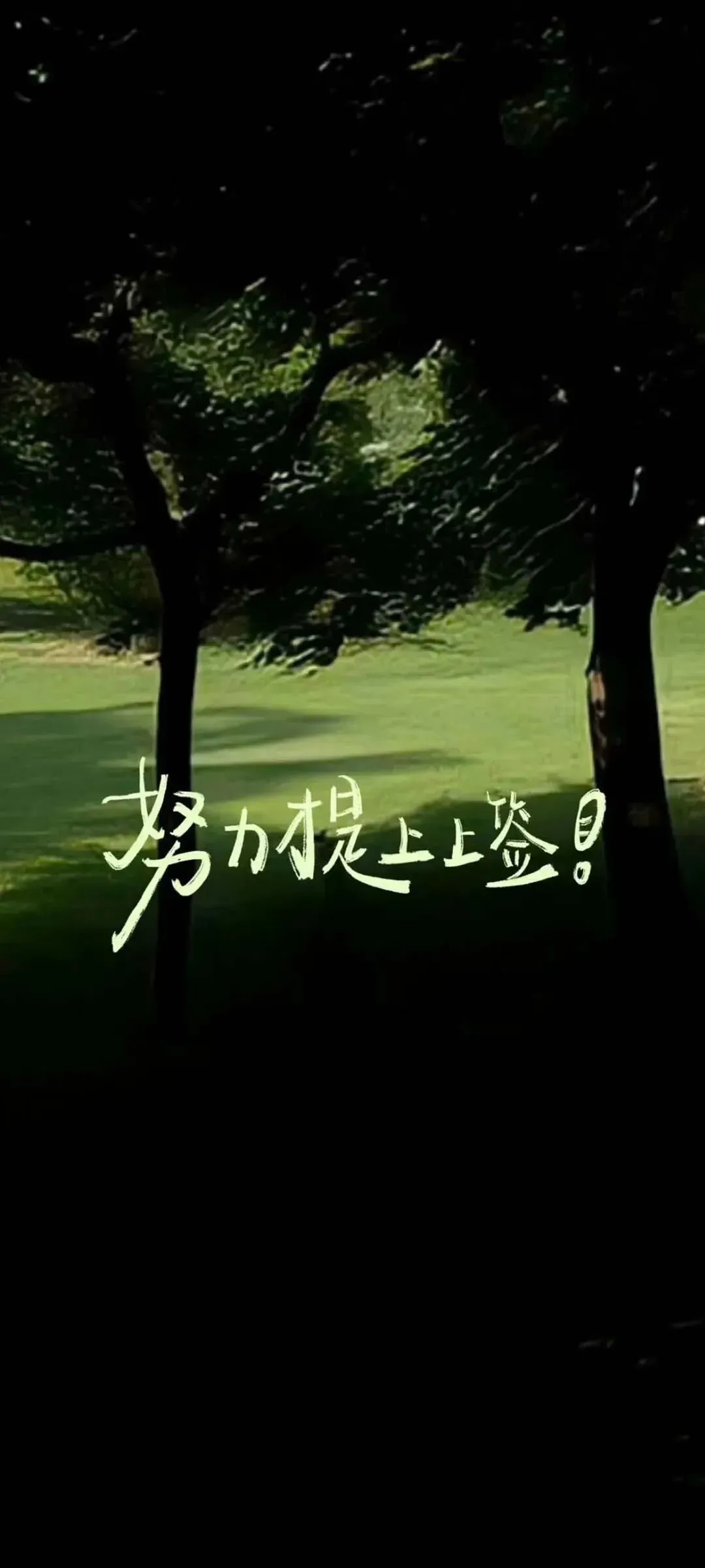 壁纸|中考考试上岸励志壁纸-第9张图片-四季读书网 壁纸|中考考试上岸励志壁纸-第9张图片-四季读书网