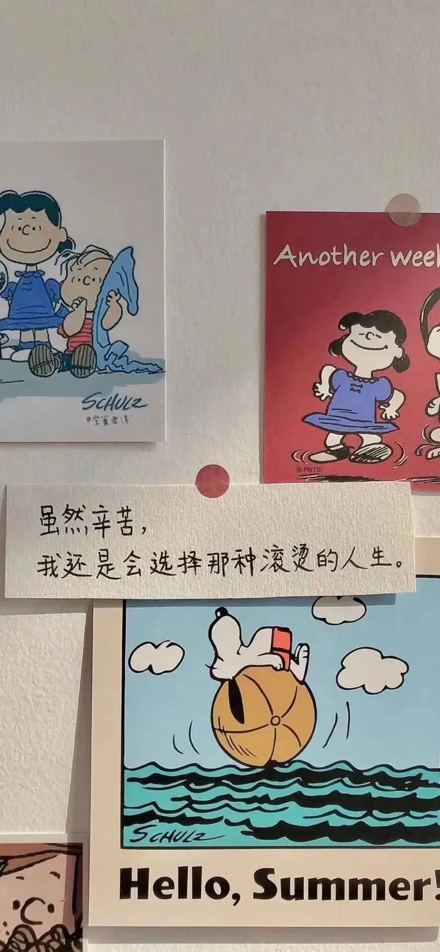 壁纸|中考考试上岸励志壁纸-第46张图片-四季读书网 壁纸|中考考试上岸励志壁纸-第46张图片-四季读书网