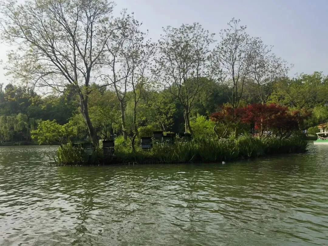 面试真题解析:公园变“直播秀场”?如何精准把握“流量时代”下的基层治理的高分答题逻辑(附逐字稿)-第1张图片-四季读书网 面试真题解析:公园变“直播秀场”?如何精准把握“流量时代”下的基层治理的高分答题逻辑(附逐字稿)-第1张图片-四季读书网