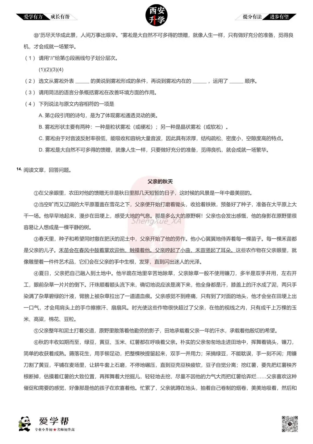 西安小升初分班考真题~高新一中:语文(三)-第4张图片-四季读书网