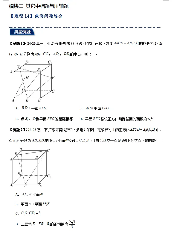 精选2024-2025学年期末考试真题最新编写, 期末专项复习 立体几何综合:外接球与内切球,截面,动点,翻折-第19张图片-四季读书网