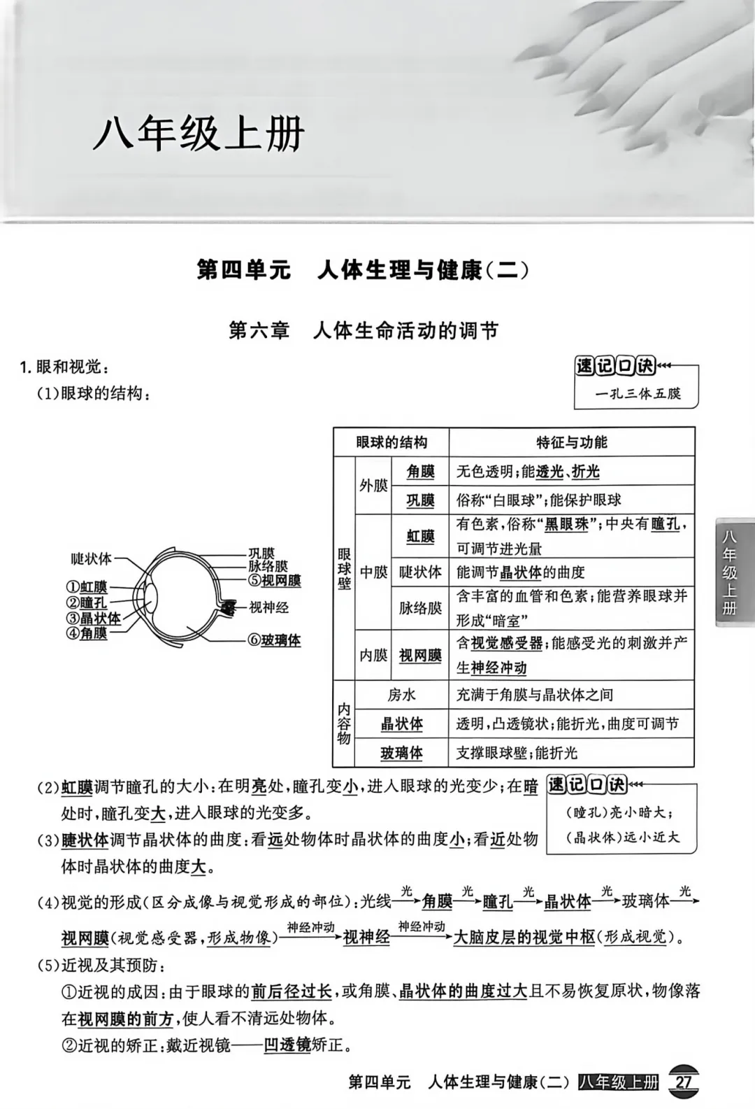 2026年中考生地会考(生物)课本知识点清单-第4张图片-四季读书网