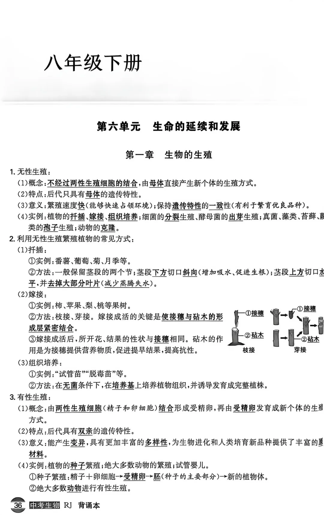 2026年中考生地会考(生物)课本知识点清单-第5张图片-四季读书网