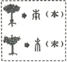 2026年浙江省温州市中考一模语文试题-第3张图片-四季读书网