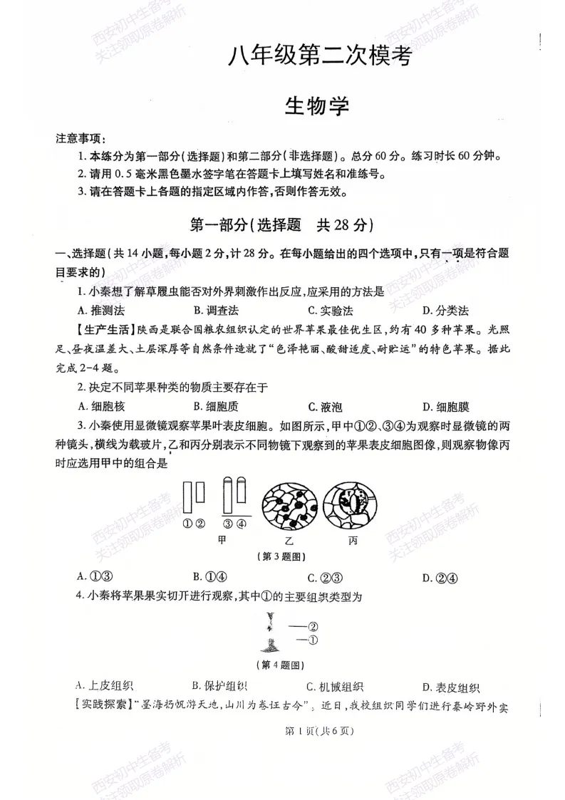 最新全科含答案!西安2026中考模拟:【高新三初】九年级二模【生物】免费下载-第7张图片-四季读书网 最新全科含答案!西安2026中考模拟:【高新三初】九年级二模【生物】免费下载-第7张图片-四季读书网