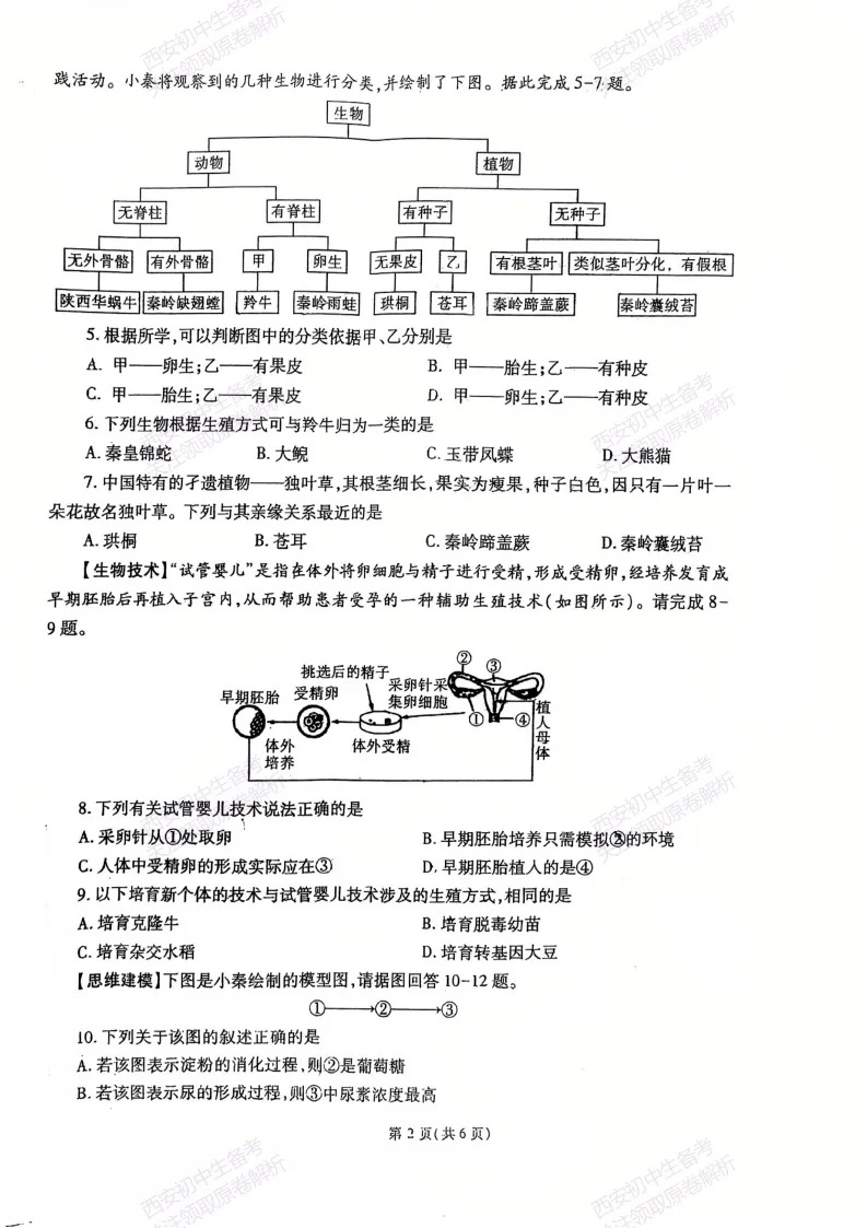 最新全科含答案!西安2026中考模拟:【高新三初】九年级二模【生物】免费下载-第8张图片-四季读书网 最新全科含答案!西安2026中考模拟:【高新三初】九年级二模【生物】免费下载-第8张图片-四季读书网