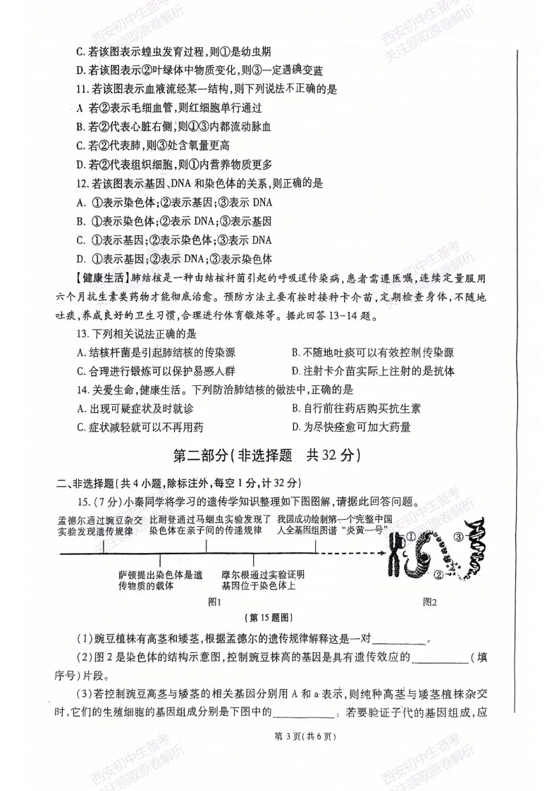 最新全科含答案!西安2026中考模拟:【高新三初】九年级二模【生物】免费下载-第9张图片-四季读书网 最新全科含答案!西安2026中考模拟:【高新三初】九年级二模【生物】免费下载-第9张图片-四季读书网