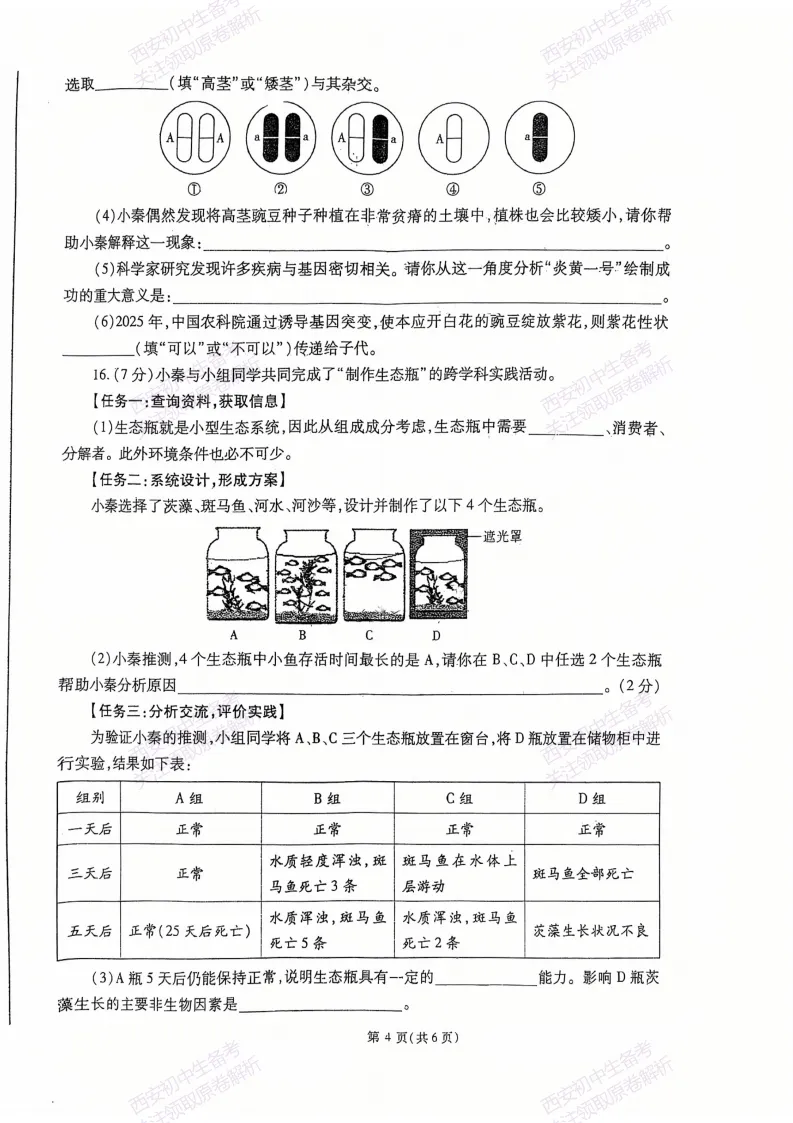 最新全科含答案!西安2026中考模拟:【高新三初】九年级二模【生物】免费下载-第10张图片-四季读书网 最新全科含答案!西安2026中考模拟:【高新三初】九年级二模【生物】免费下载-第10张图片-四季读书网