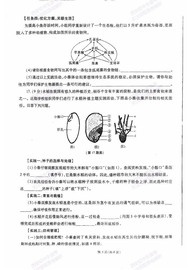 最新全科含答案!西安2026中考模拟:【高新三初】九年级二模【生物】免费下载-第11张图片-四季读书网 最新全科含答案!西安2026中考模拟:【高新三初】九年级二模【生物】免费下载-第11张图片-四季读书网