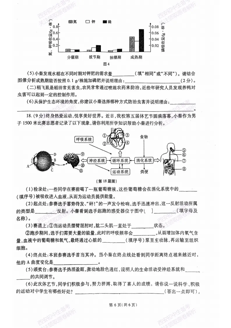 最新全科含答案!西安2026中考模拟:【高新三初】九年级二模【生物】免费下载-第12张图片-四季读书网 最新全科含答案!西安2026中考模拟:【高新三初】九年级二模【生物】免费下载-第12张图片-四季读书网