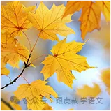 【中考作文】用思辨提升作文格次-第2张图片-四季读书网 【中考作文】用思辨提升作文格次-第2张图片-四季读书网