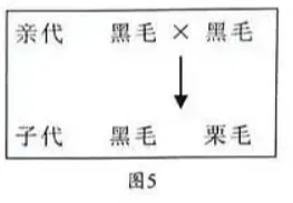 2026年生物中考真题演练3:(2025广西省)-第6张图片-四季读书网