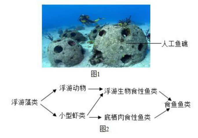 2026年生物中考真题演练3:(2025广西省)-第10张图片-四季读书网