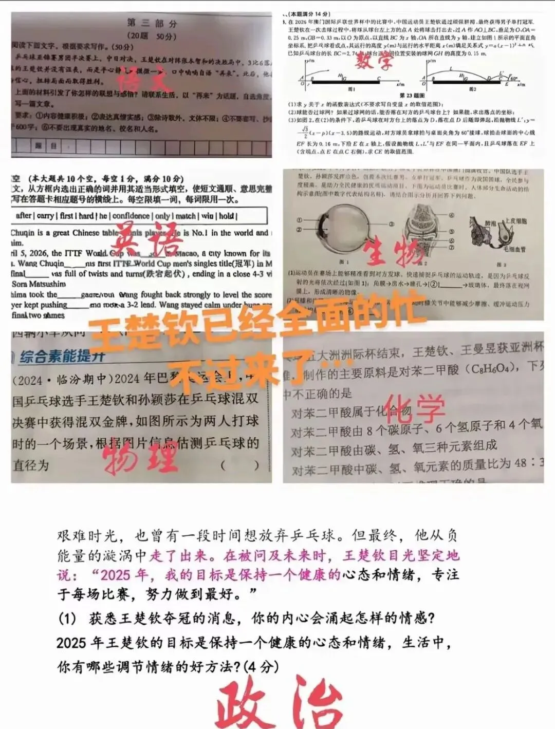 拿王楚钦出题是为了蹭热度?他凭什么成为试卷的压题NPC?-第4张图片-四季读书网