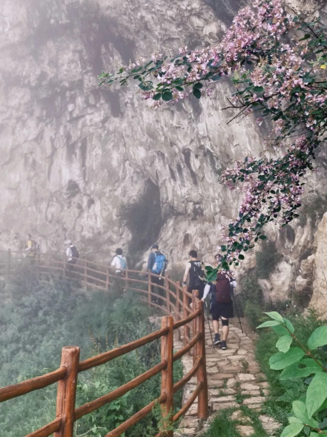 中考在即,暂别山野!-第3张图片-四季读书网 中考在即,暂别山野!-第3张图片-四季读书网