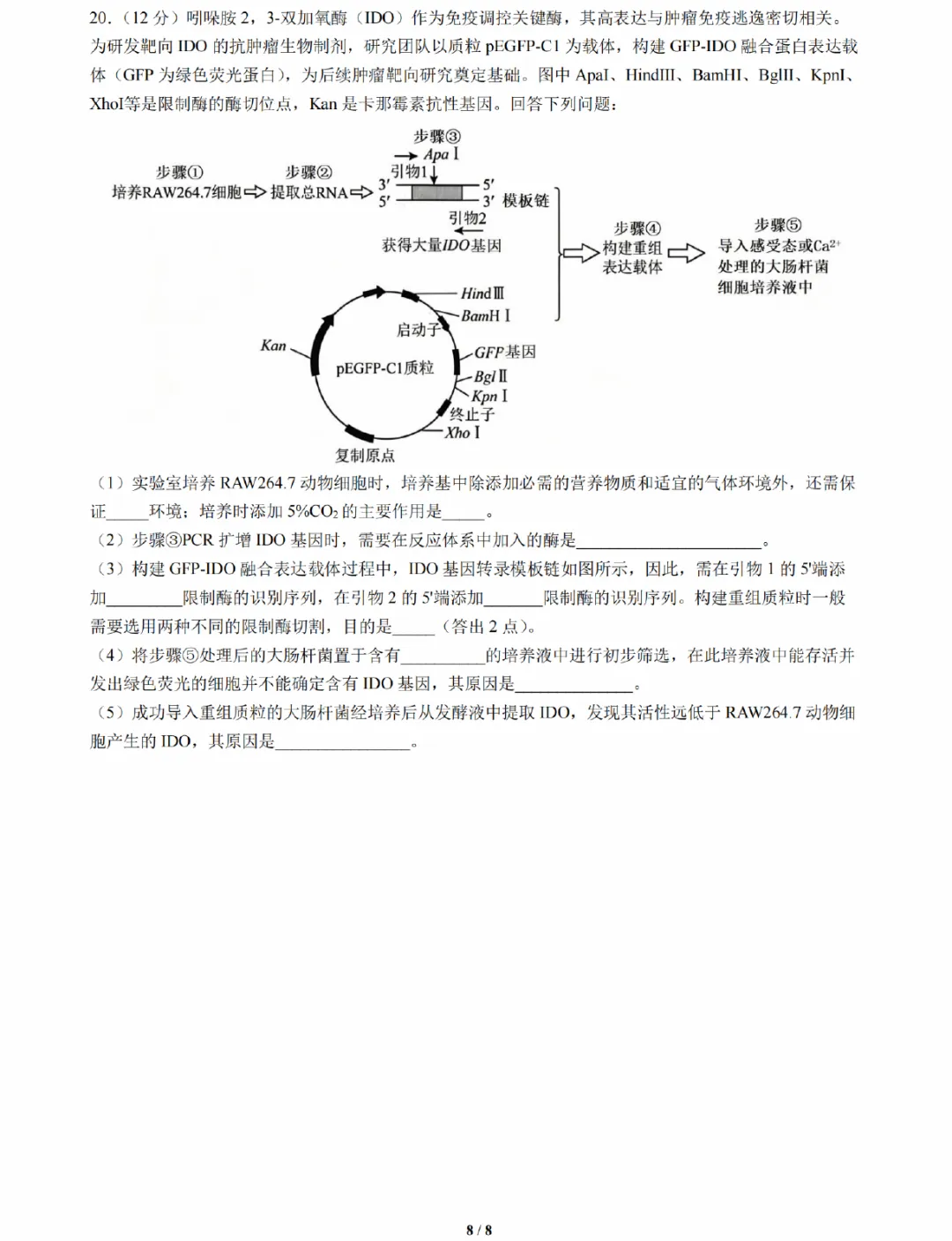 成都七中2026届高三模拟考试生物学试题及答案解析-第10张图片-四季读书网 成都七中2026届高三模拟考试生物学试题及答案解析-第10张图片-四季读书网