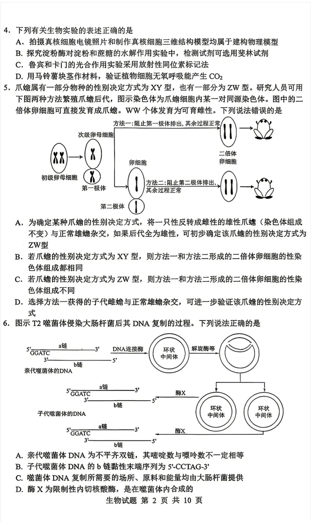 山东省实验中学2026届高考考前模拟测试生物学试题及答案-第2张图片-四季读书网 山东省实验中学2026届高考考前模拟测试生物学试题及答案-第2张图片-四季读书网