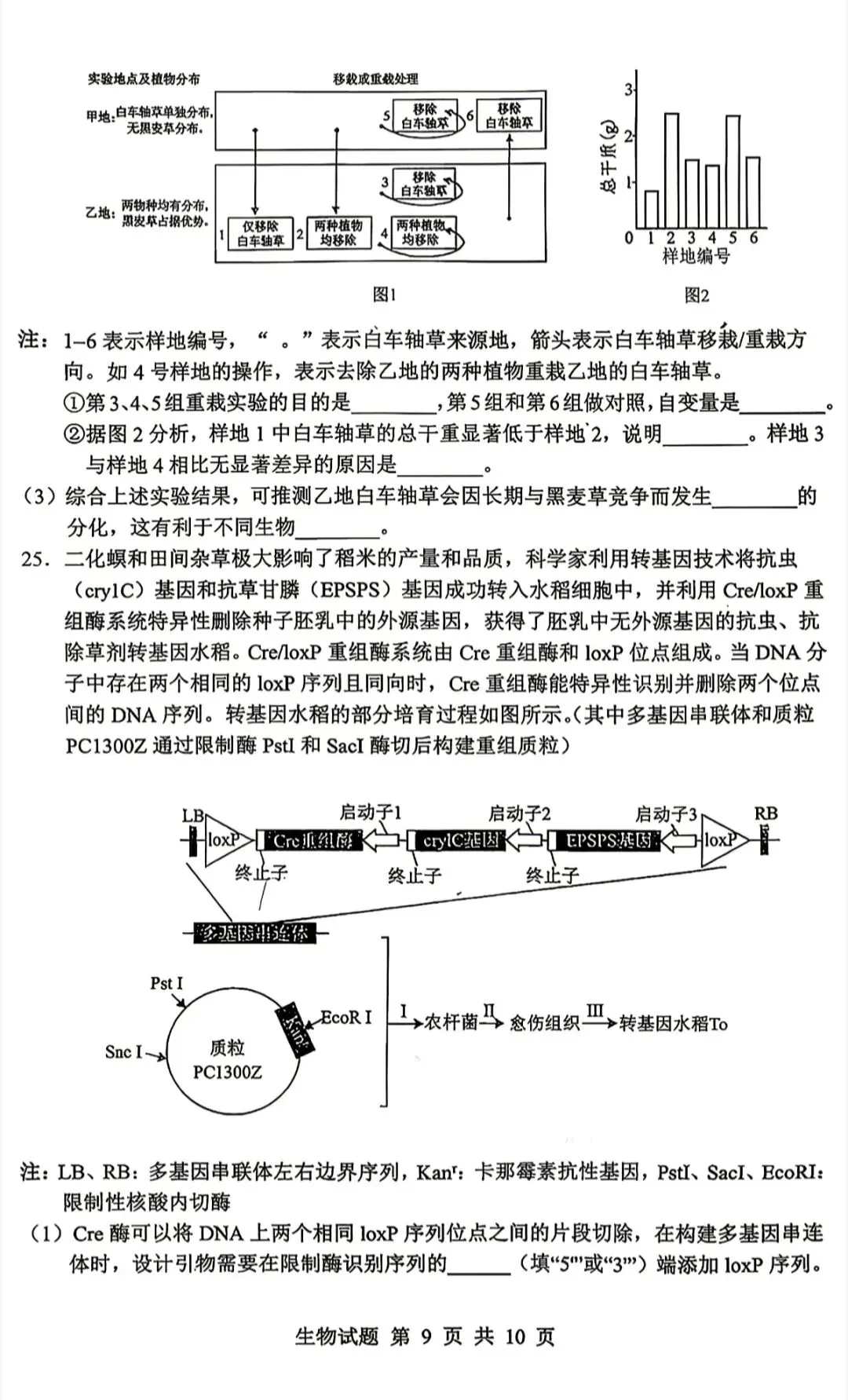 山东省实验中学2026届高考考前模拟测试生物学试题及答案-第9张图片-四季读书网 山东省实验中学2026届高考考前模拟测试生物学试题及答案-第9张图片-四季读书网