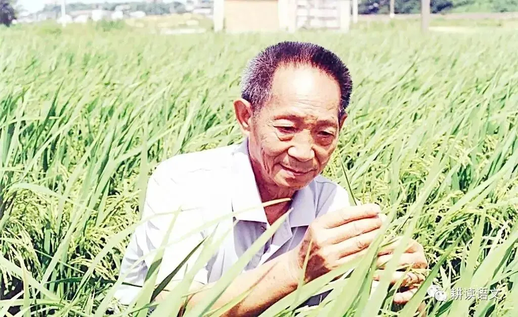 中考满分作文:做一粒____的种子(范文9篇)-第6张图片-四季读书网 中考满分作文:做一粒____的种子(范文9篇)-第6张图片-四季读书网