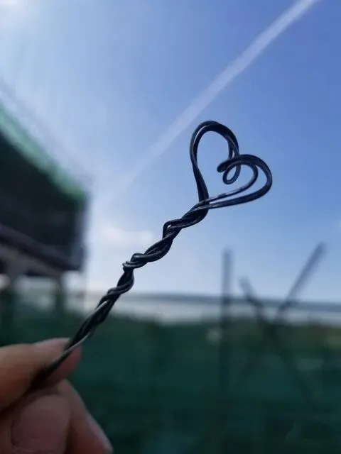 中考分数就差分毫,选重点当凤尾,还是去普高做鸡头?-第4张图片-四季读书网