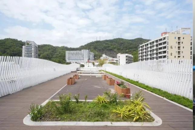 中考高中学校2026年招生简章-31:红岭中学-第24张图片-四季读书网