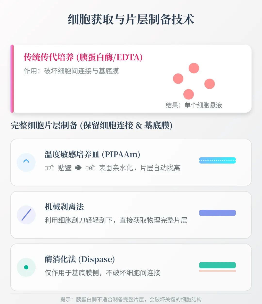 【高考真题研究04】【细胞片层】不用胰蛋白酶,如何“无损”剥离?-第4张图片-四季读书网