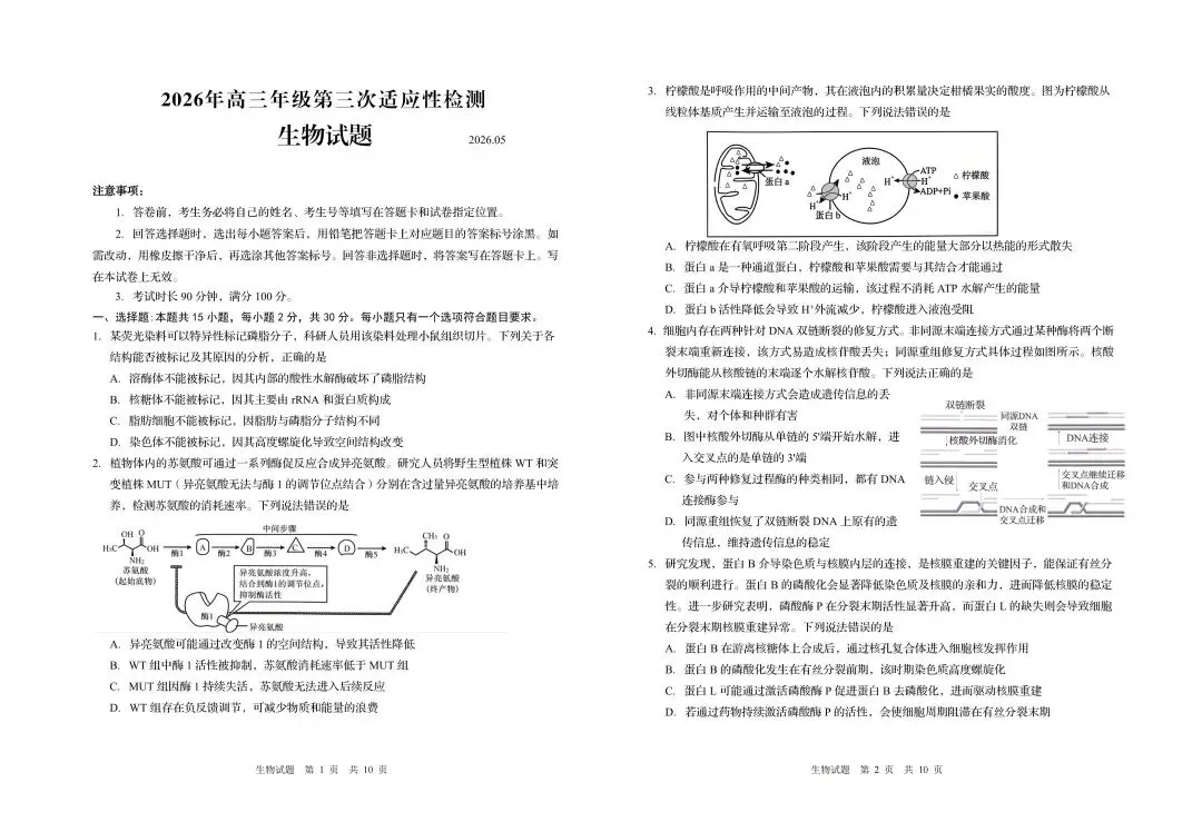 【青岛三模】青岛市2026年高三第三次模拟考试-生物-第2张图片-四季读书网 【青岛三模】青岛市2026年高三第三次模拟考试-生物-第2张图片-四季读书网