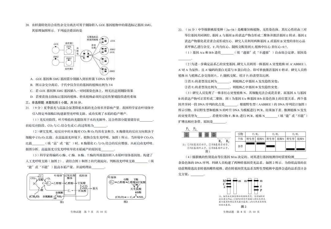 【青岛三模】青岛市2026年高三第三次模拟考试-生物-第5张图片-四季读书网 【青岛三模】青岛市2026年高三第三次模拟考试-生物-第5张图片-四季读书网