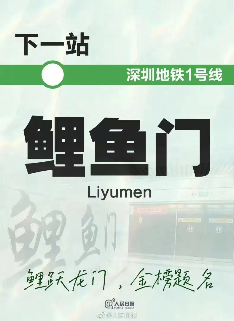 查分了!2026深圳中考体育成绩出炉!附快捷查询通道!-第3张图片-四季读书网