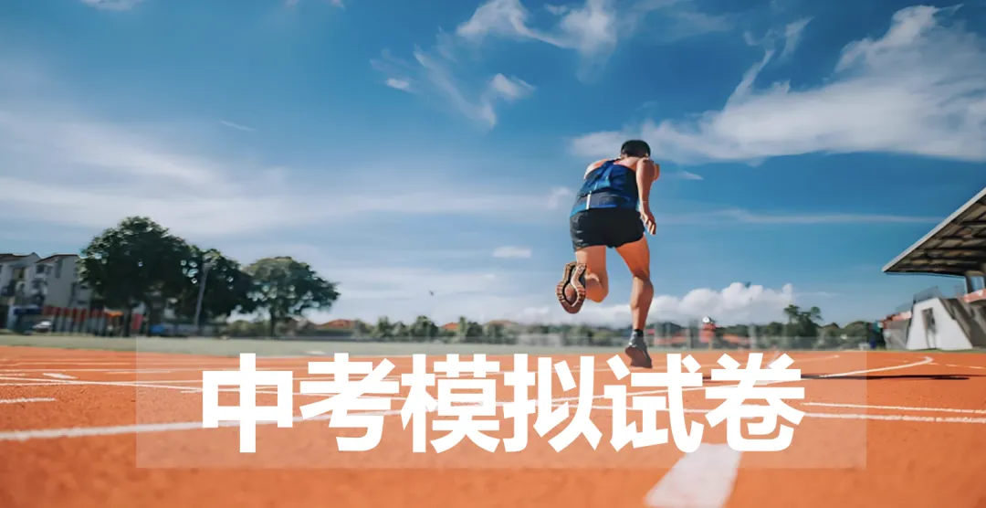 2026年高新一中陆港语文6模试卷答案+高分作文解析-第12张图片-四季读书网 2026年高新一中陆港语文6模试卷答案+高分作文解析-第12张图片-四季读书网