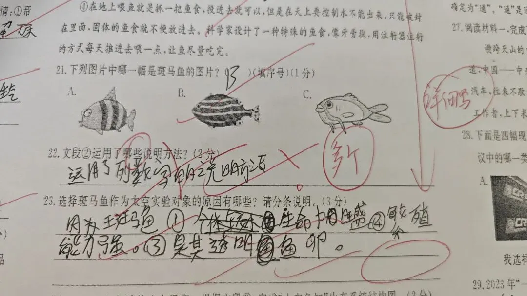 【百字勇士挑战营】六年级带班记录·试卷批改分析-第6张图片-四季读书网