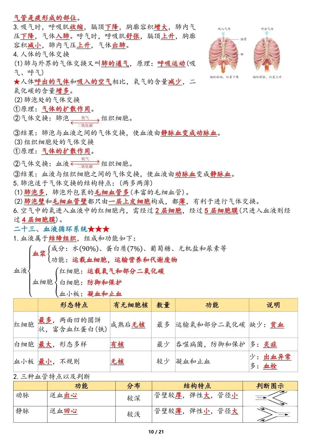 中考生物重点知识点-第10张图片-四季读书网