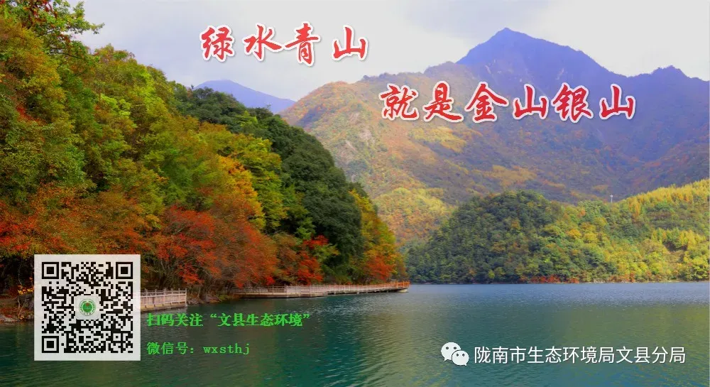 文县人民政府关于加强2026年高考中考期间环境秩序管理工作的通告-第1张图片-四季读书网