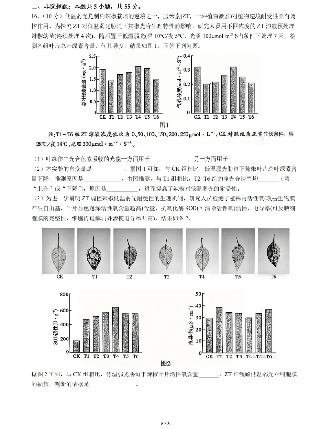 成都七中2026届高三模拟考试生物学试题及答案解析-第7张图片-四季读书网 成都七中2026届高三模拟考试生物学试题及答案解析-第7张图片-四季读书网