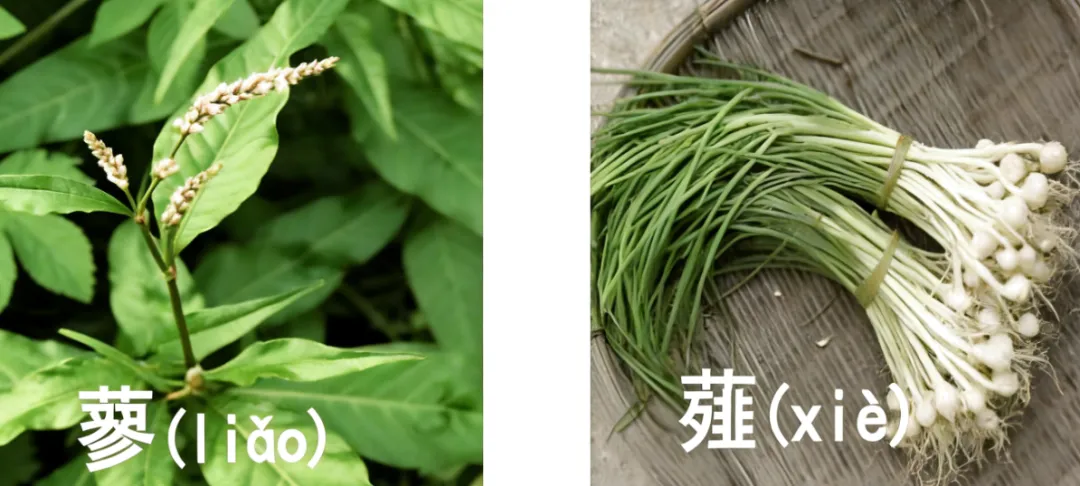 小升初真题分类汇编:记叙文阅读-第2张图片-四季读书网