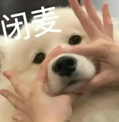【2026中考】中高考倒计时,石室中学为您量身打造《陪考指南》-第6张图片-四季读书网 【2026中考】中高考倒计时,石室中学为您量身打造《陪考指南》-第6张图片-四季读书网