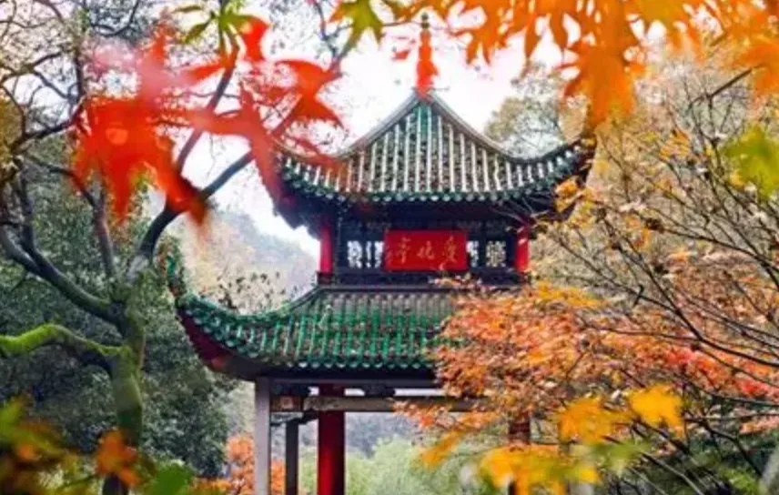 中考后出发轻奢张家界6日纯玩游-第10张图片-四季读书网 中考后出发轻奢张家界6日纯玩游-第10张图片-四季读书网