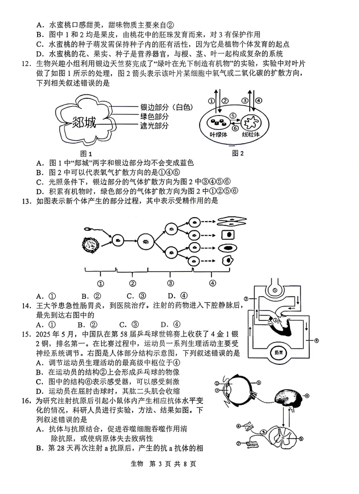 【地生会考】中考冲刺2026地理生物模拟考试二 试题+答案-第13张图片-四季读书网 【地生会考】中考冲刺2026地理生物模拟考试二 试题+答案-第13张图片-四季读书网